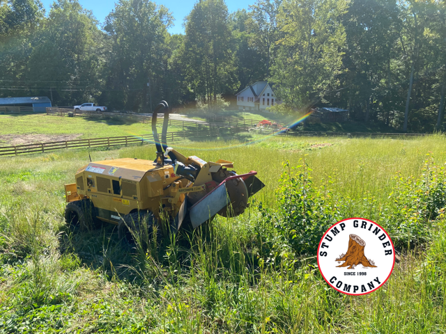 Pasture Clearing in Canton, GA