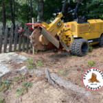 Stump Removal for New Fence in Alpharetta GA