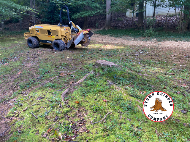Lot Grading and Stump Grinding in Peachtree Corners, GA