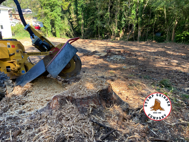 Atlanta Stump Grinding Backyard Clearing Project