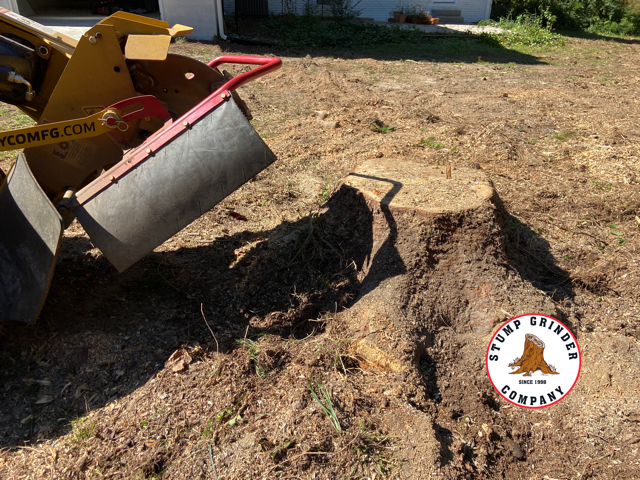 Atlanta Stump Grinding Backyard Clearing Project