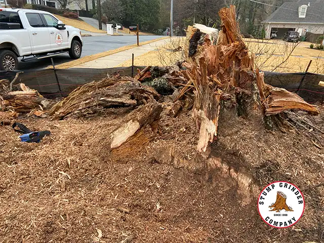 Oak Stump Removal Driveway Project