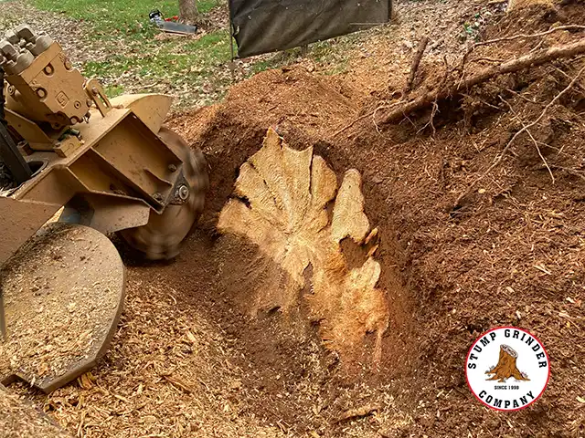 Uprooted Stump Removal Johns Creek