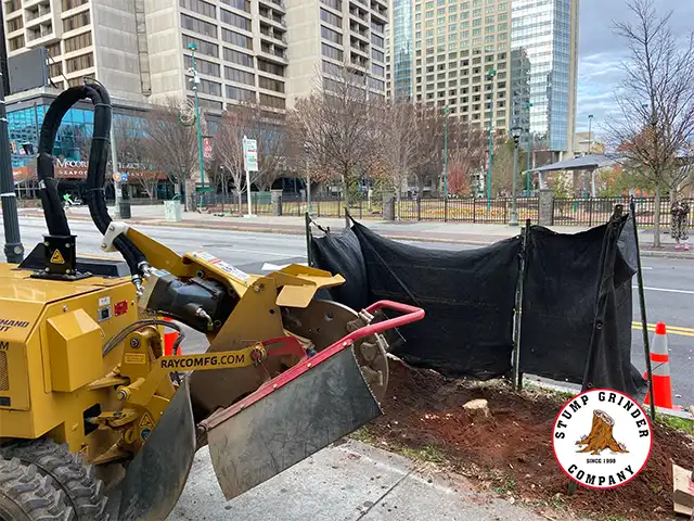 Stump removal around Downtown for new plantings