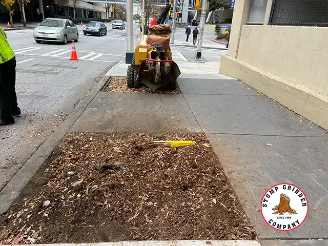 Stump Removal in Downtown Atlanta
