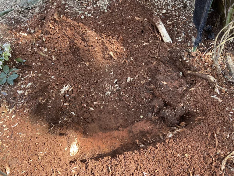 Alpharetta Digging New Hole