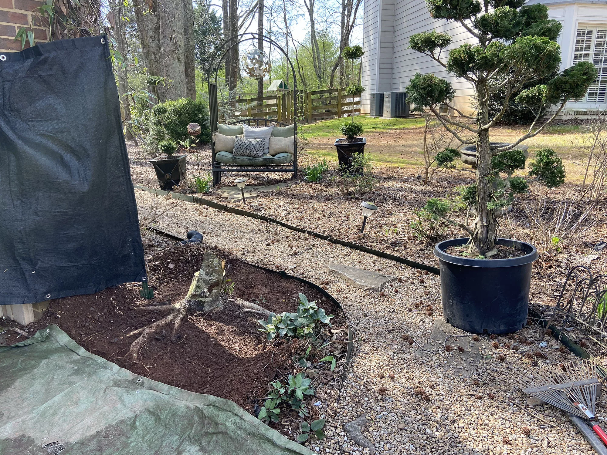 Time to Replant a New Tree Stump Grinder Company