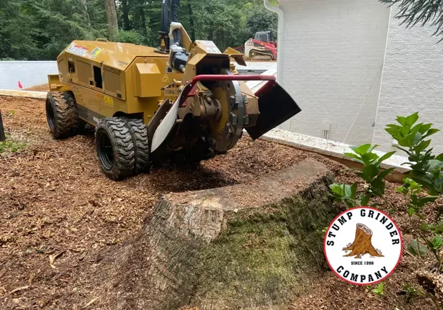 Stump Grinding Services Near You